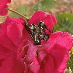 Vivid Mystery 2.0 